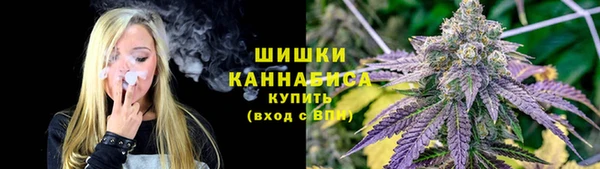 ПСИЛОЦИБИНОВЫЕ ГРИБЫ Аркадак