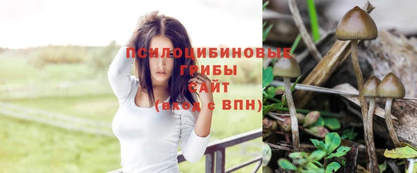 spice Арсеньев