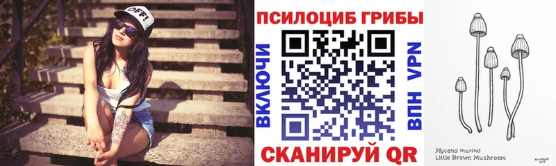 как найти закладки omg маркетплейс Галлюциногенные грибы мицелий Красный Кут