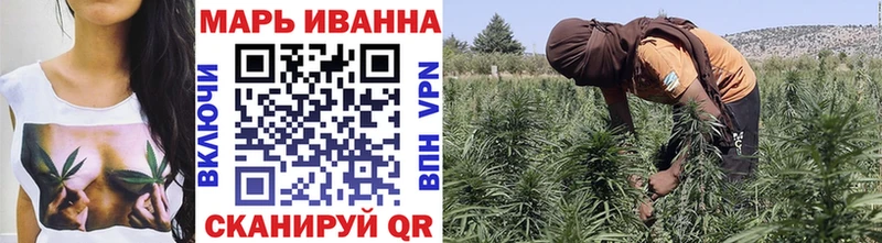 Бошки Шишки гибрид Красный Кут